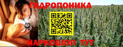 ГАЛЛЮЦИНОГЕННЫЕ ГРИБЫ Моздок