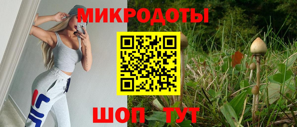 Псилоцибиновые грибы прущие грибы Тутаев