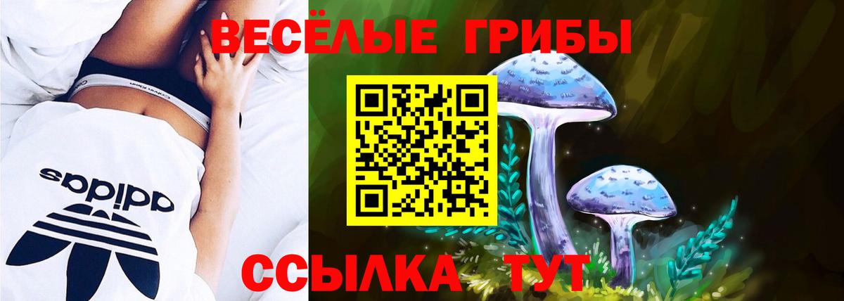 Галлюциногенные грибы Magic Shrooms  Вход с VPN  Тутаев 
